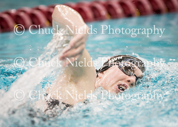 State Swimming_219