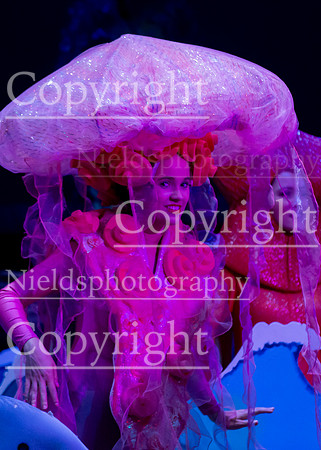 Little_Mermaid_531