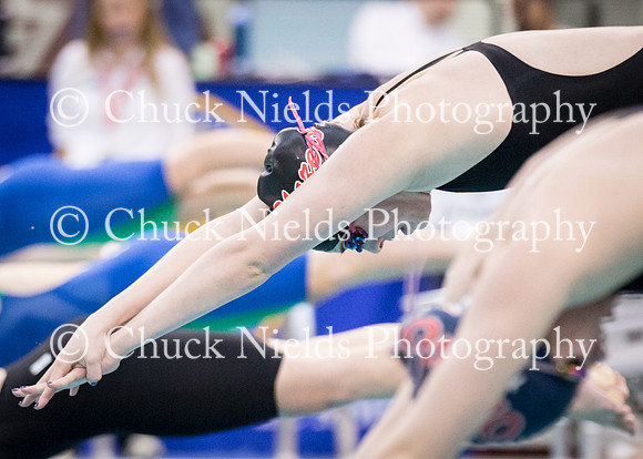 State Swimming_348