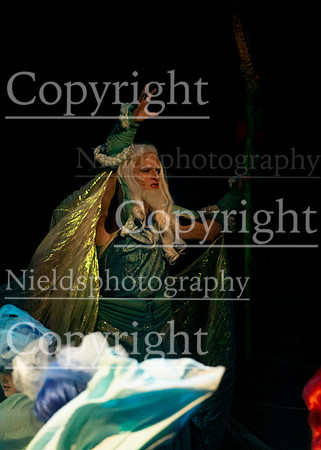 Little_Mermaid_309