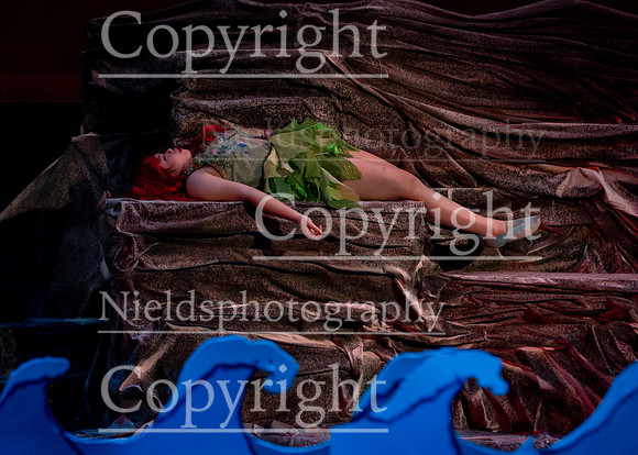 Little_Mermaid_437