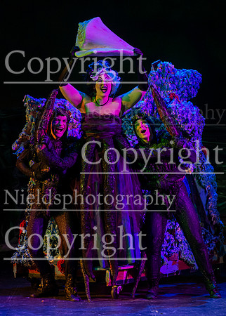 Little_Mermaid_161