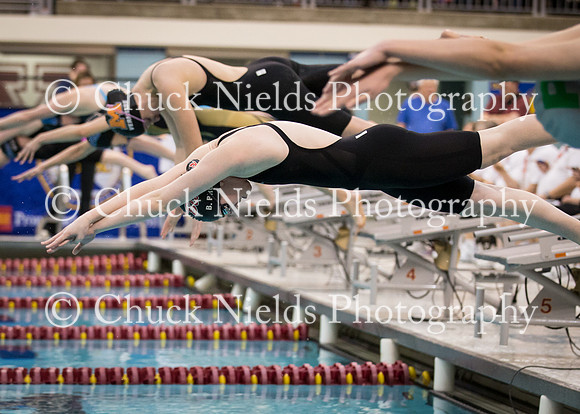 State Swimming_316