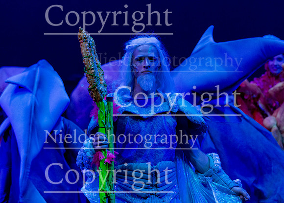 Little_Mermaid_239