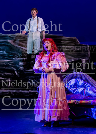 Little_Mermaid_548