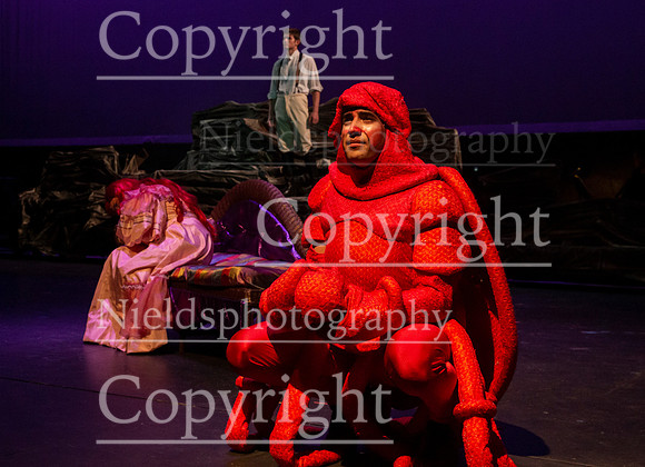 Little_Mermaid_175
