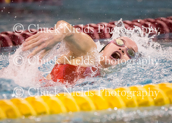 State Swimming_062