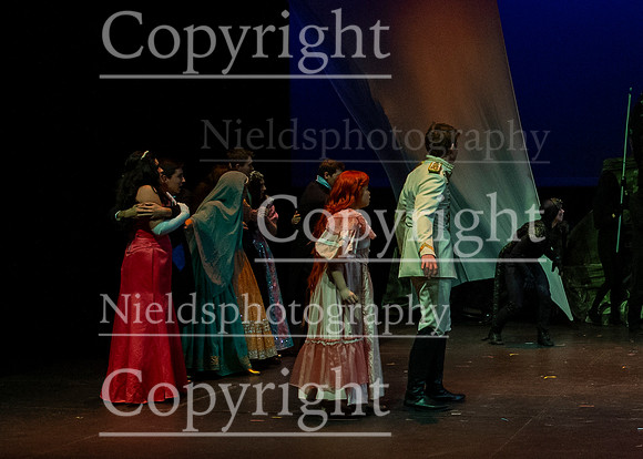 Little_Mermaid_189