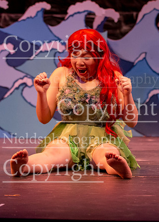 Little_Mermaid_438