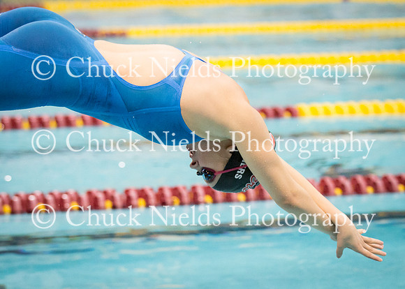 State Swimming_286