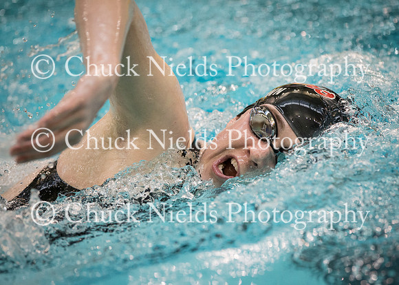 State Swimming_223
