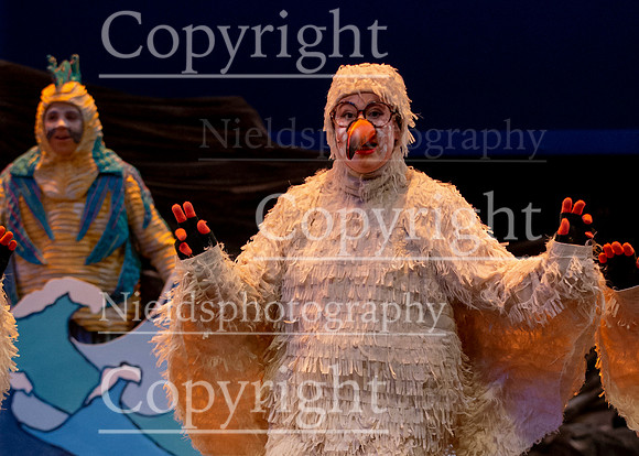 Little_Mermaid_451
