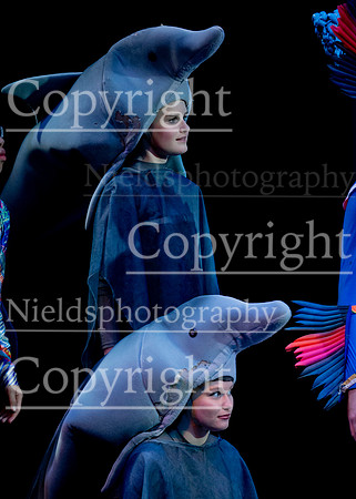Little_Mermaid_255
