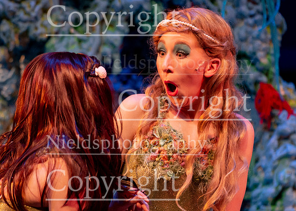 Little_Mermaid_339