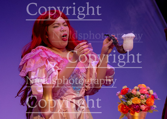 Little_Mermaid_494