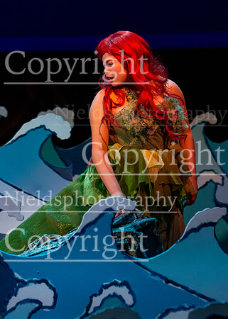 Little_Mermaid_215