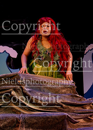 Little_Mermaid_323