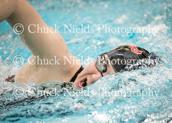 State Swimming_222