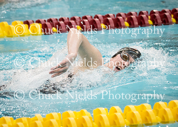 State Swimming_319