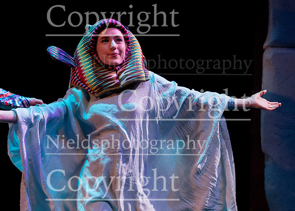 Little_Mermaid_349