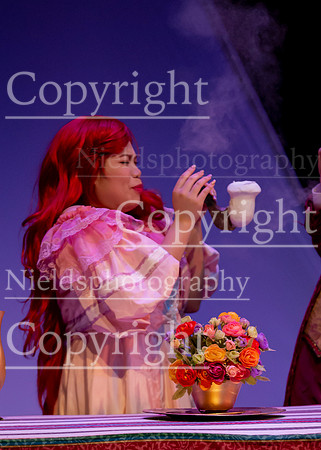 Little_Mermaid_493