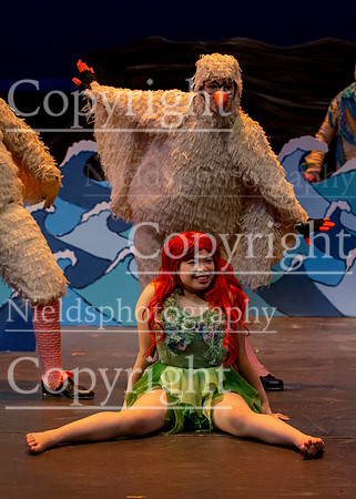 Little_Mermaid_452