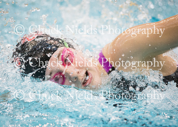 State Swimming_208