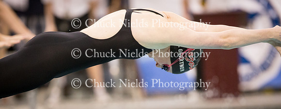 State Swimming_242