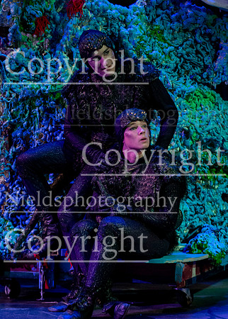Little_Mermaid_414