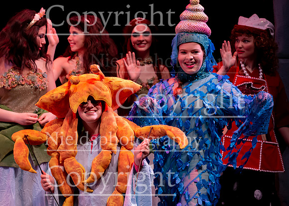 Little_Mermaid_607
