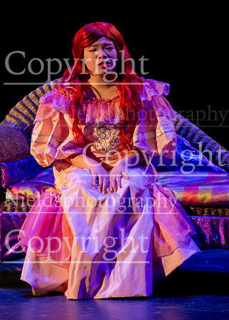 Little_Mermaid_536