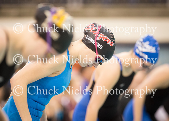 State Swimming_236