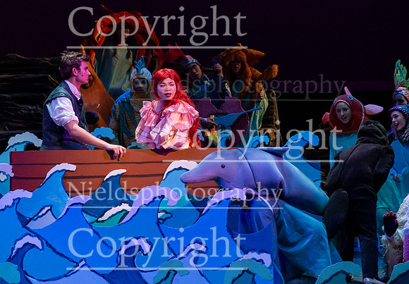 Little_Mermaid_165