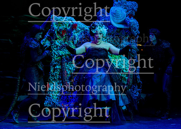 Little_Mermaid_285