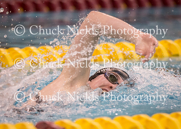 State Swimming_053