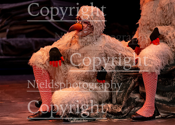 Little_Mermaid_442