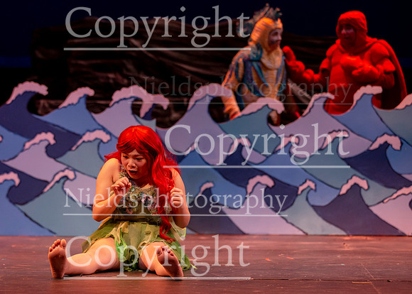 Little_Mermaid_439
