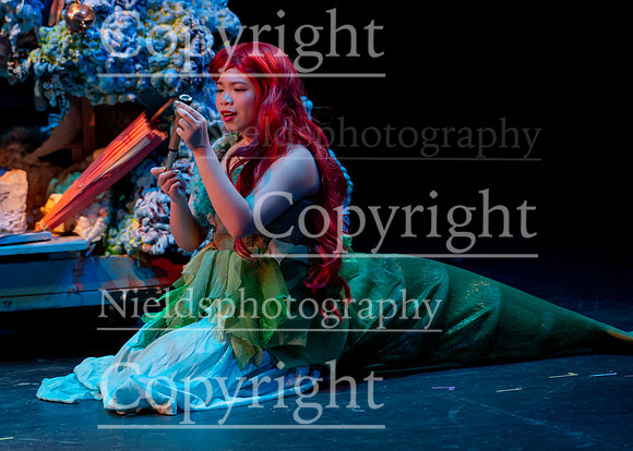 Little_Mermaid_393