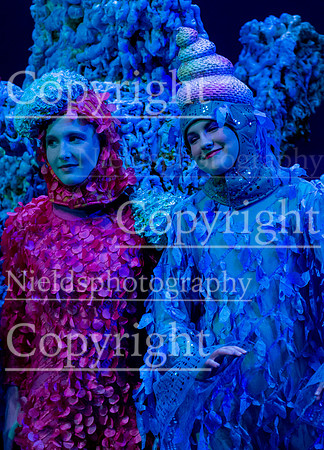 Little_Mermaid_244