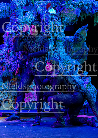 Little_Mermaid_399