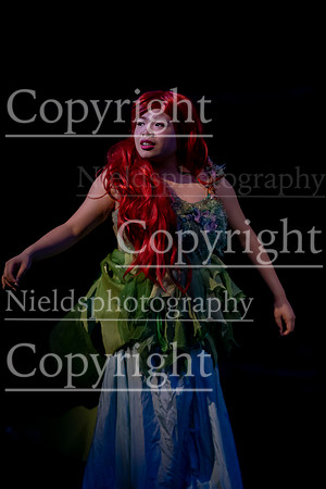 Little_Mermaid_579