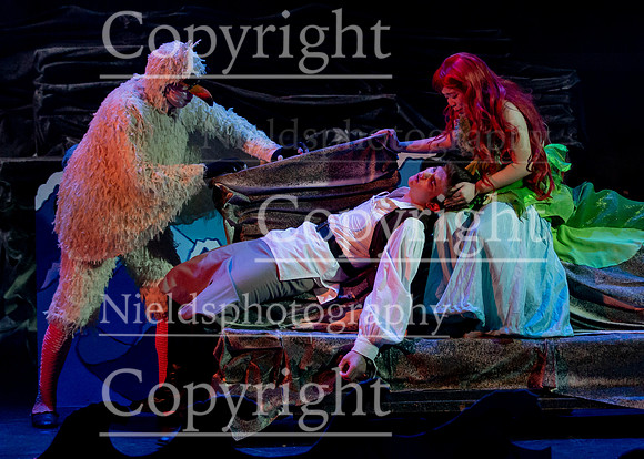 Little_Mermaid_316