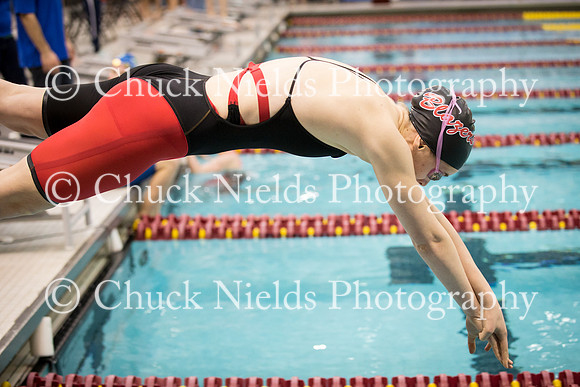 State Swimming_279