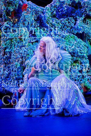 Little_Mermaid_574
