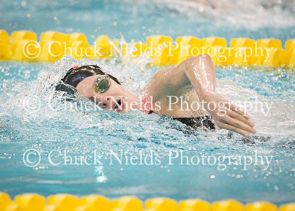 State Swimming_226