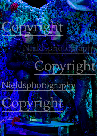 Little_Mermaid_288