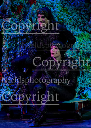 Little_Mermaid_415