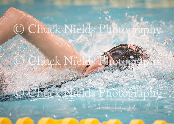 State Swimming_126