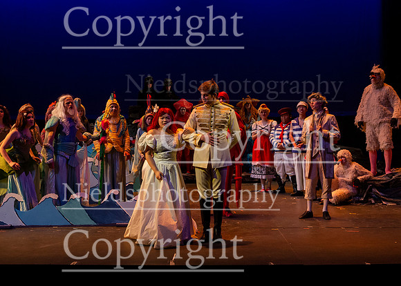 Little_Mermaid_203