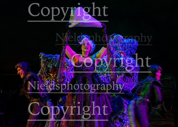 Little_Mermaid_160